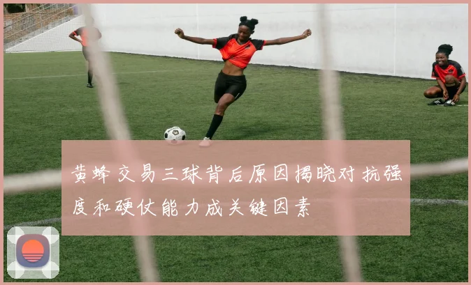 黄蜂交易三球背后原因揭晓对抗强度和硬仗能力成关键因素