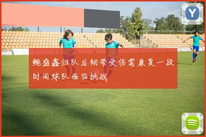 鲍盛鑫归队后韧带受伤需康复一段时间球队面临挑战